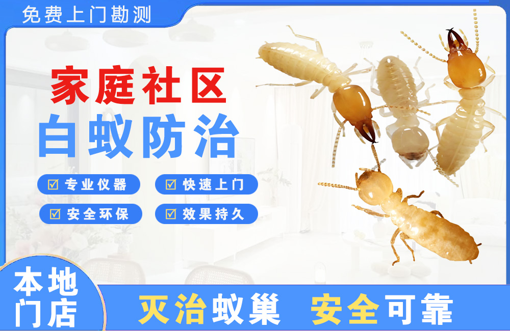 南通家庭社区白蚁防治