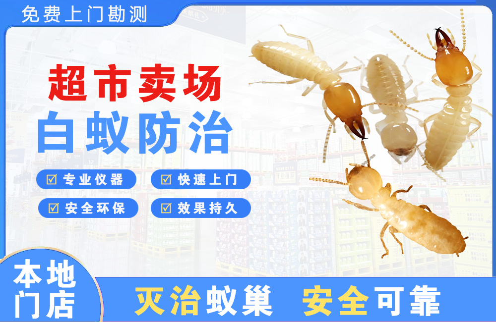 南通超市卖场白蚁防治