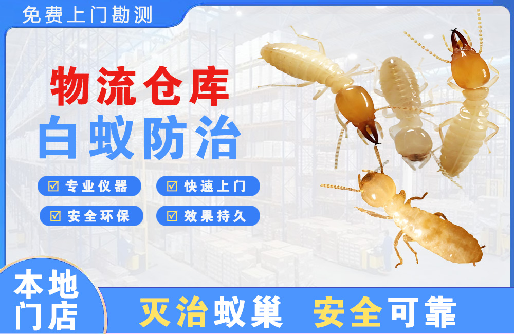 南通物流仓库白蚁防治