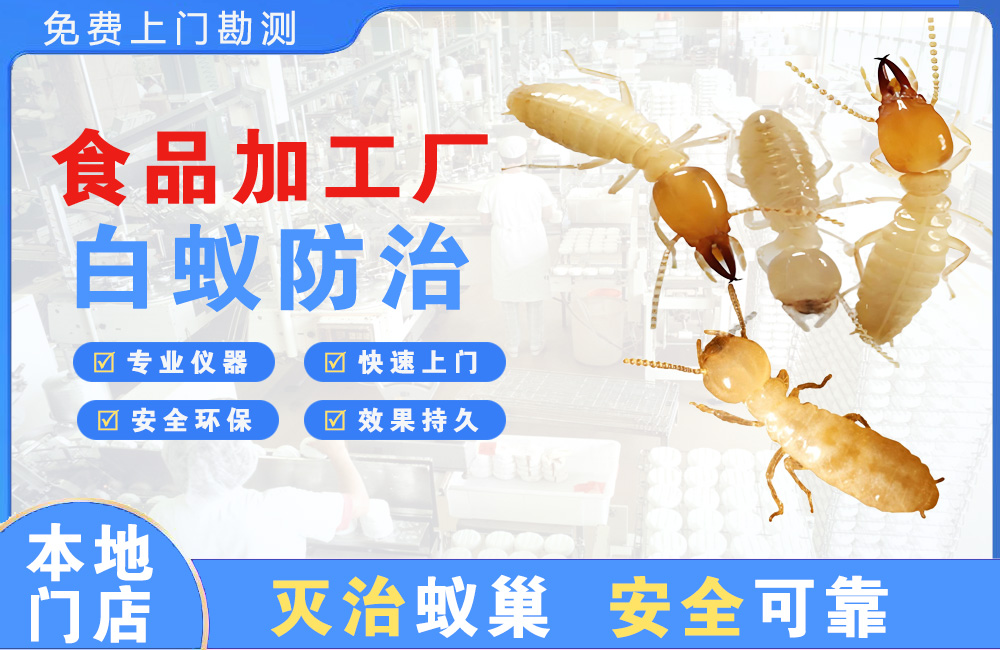 南通食品加工厂白蚁防治