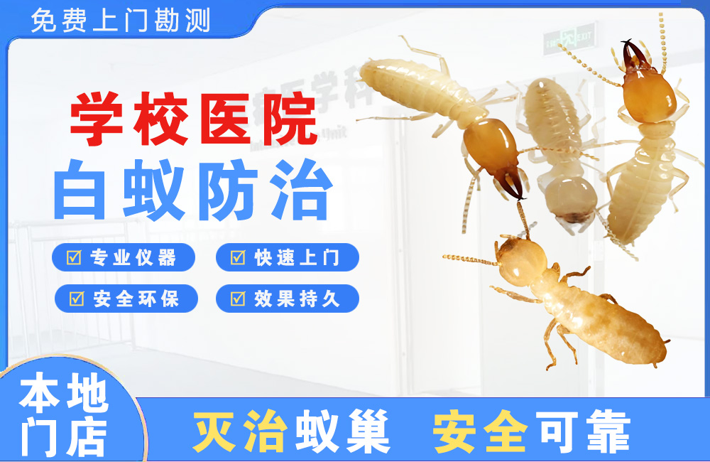南通学校医院白蚁防治
