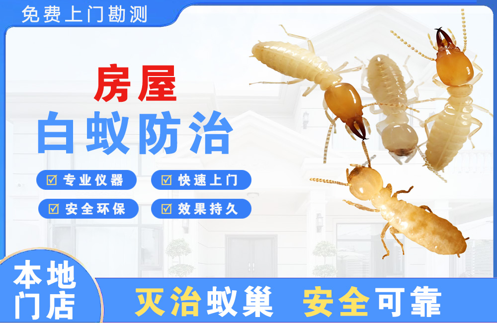 南通房屋白蚁防治